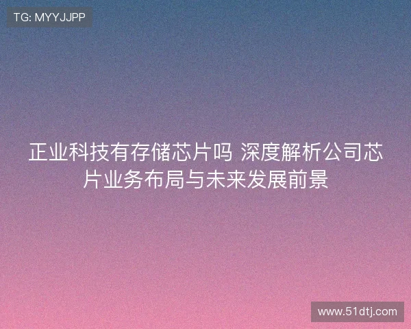 正业科技有存储芯片吗 深度解析公司芯片业务布局与未来发展前景